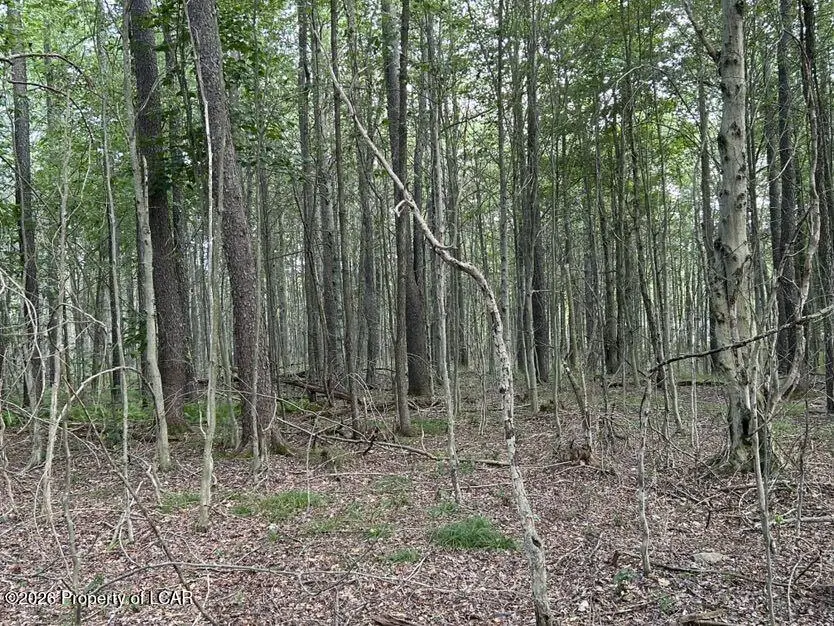 Bellasylva Road, Forkston, PA 18614 - #2