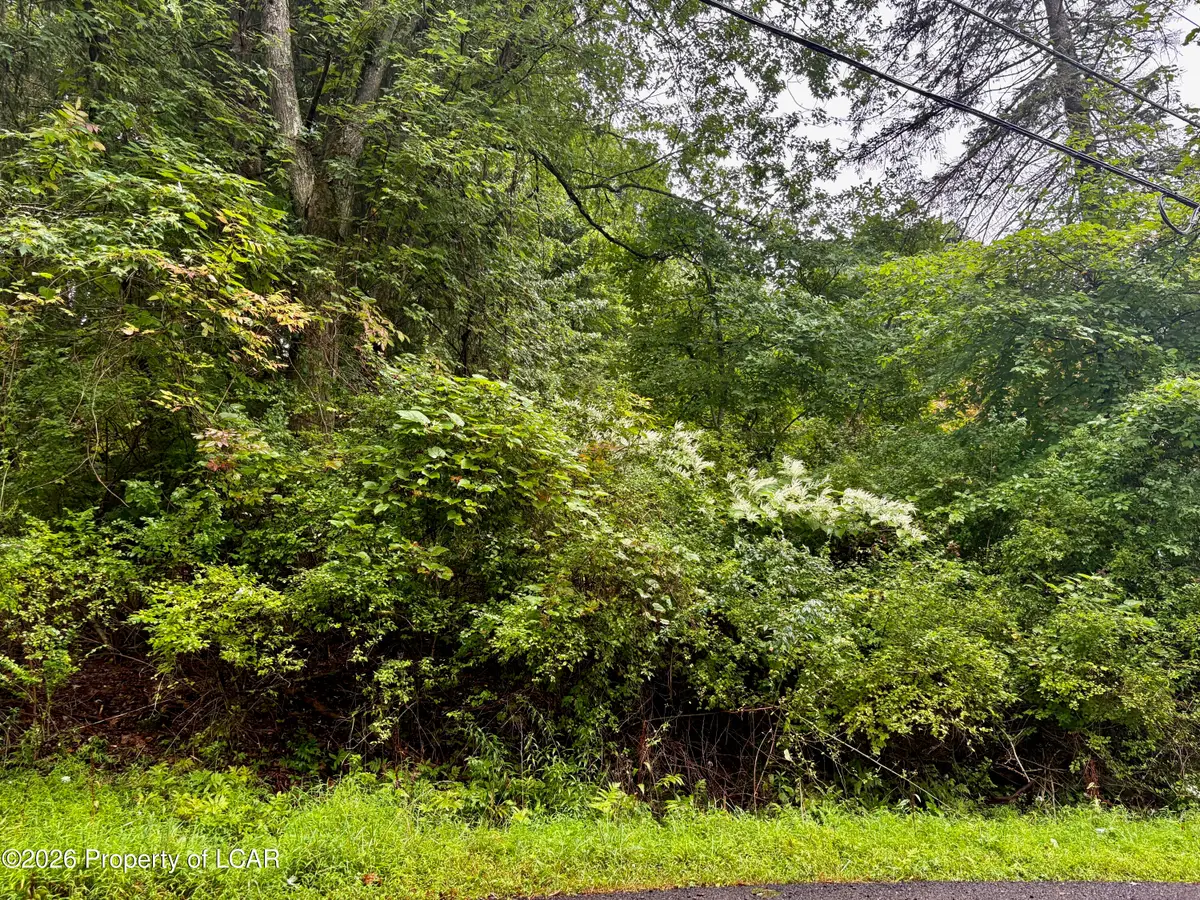 Lot 13 Woodlawn Avenue, Harveys Lake, PA 18618 - #1