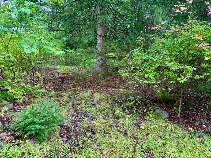 Lot 13 Woodlawn Avenue, Harveys Lake, PA 18618 - #3