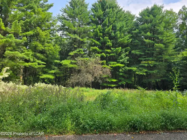 Callender Road, Hunlock Creek, PA 18621