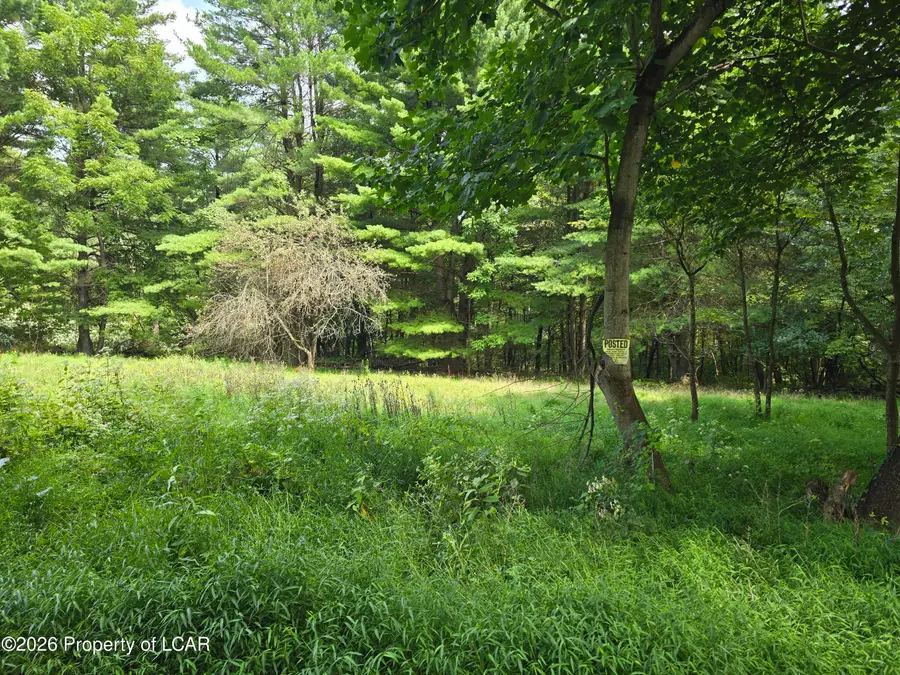 Callender Road, Hunlock Creek, PA 18621 - #2