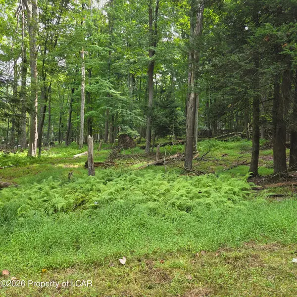 0 Blackfoot Drive, North Union Twp., PA 17985
