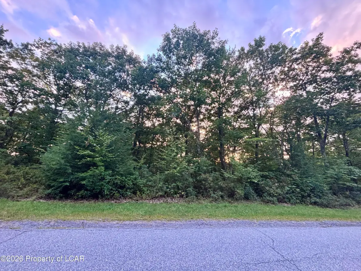 8 Sandsprings Street, Bear Creek, PA 18702 - #1