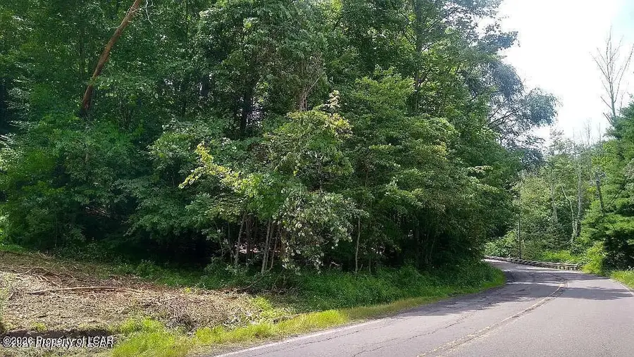 Taylor Lane, Harveys Lake, PA 18618 - #3