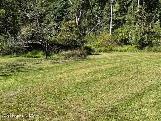 133 Maple Tree Road, Dallas, PA 18612 - #3