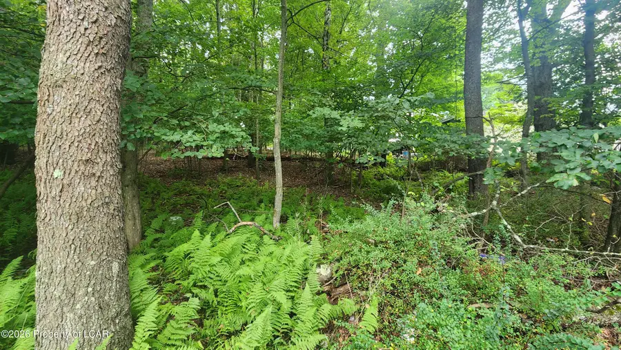 H5 Monroe Court, Weatherly, PA 18225 - #2