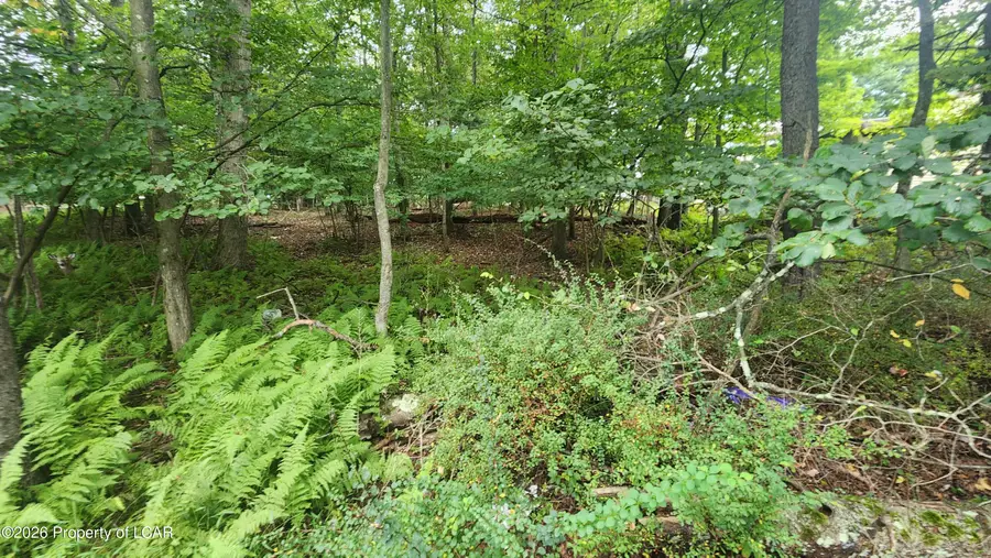 H5 Monroe Court, Weatherly, PA 18225 - #3