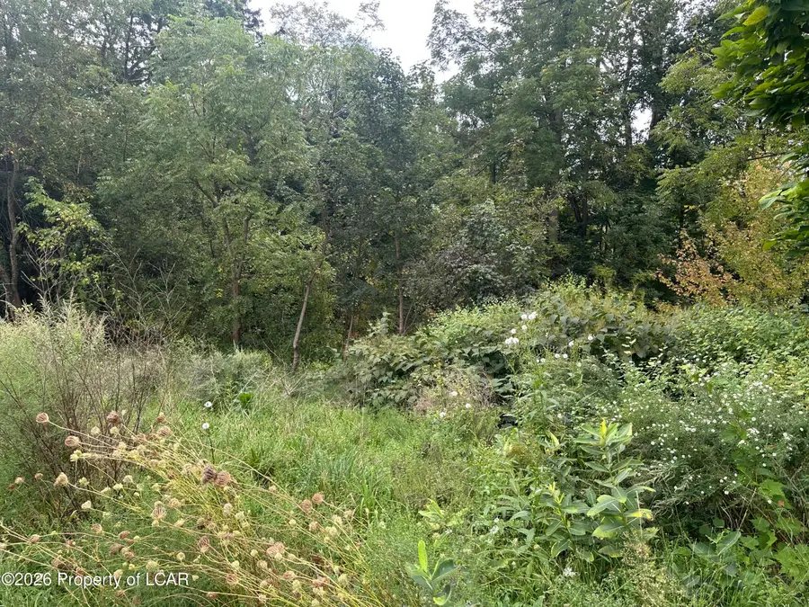 202 Main Street, Berwick, PA 18603 - #2