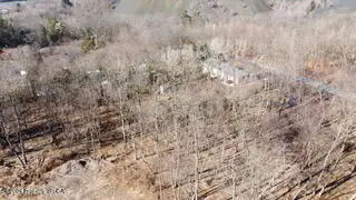 Wood Way, Jenkins, PA 18640 - #2