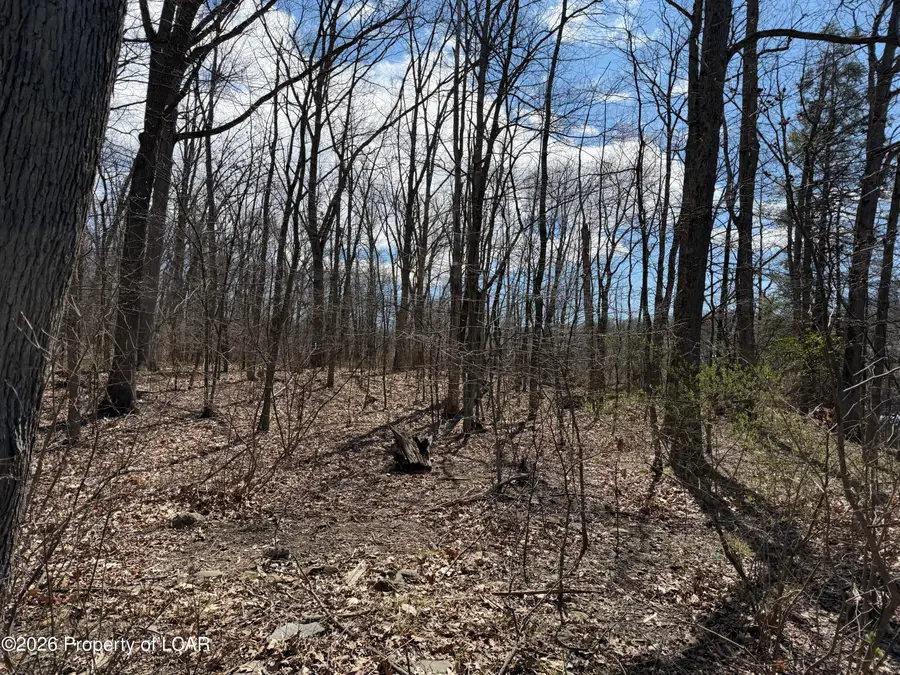 Westminster Road, Jenkins, PA 18702 - #3