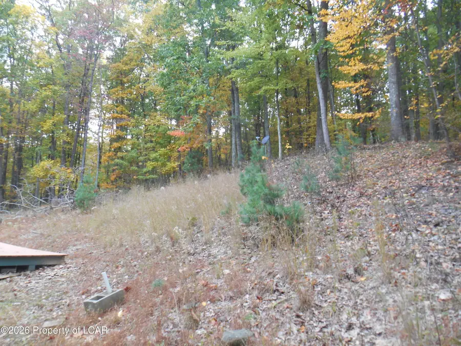40 Huntington Mountain Drive, Shickshinny, PA 18655 - #3
