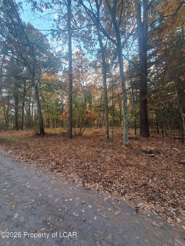 Sutton Drive, Hunlock Creek, PA 18621