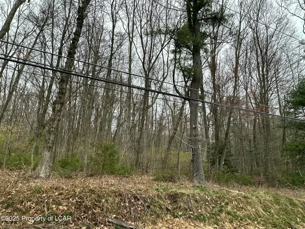 Pond Hill Mountain Road, Wapwallopen, PA 18660