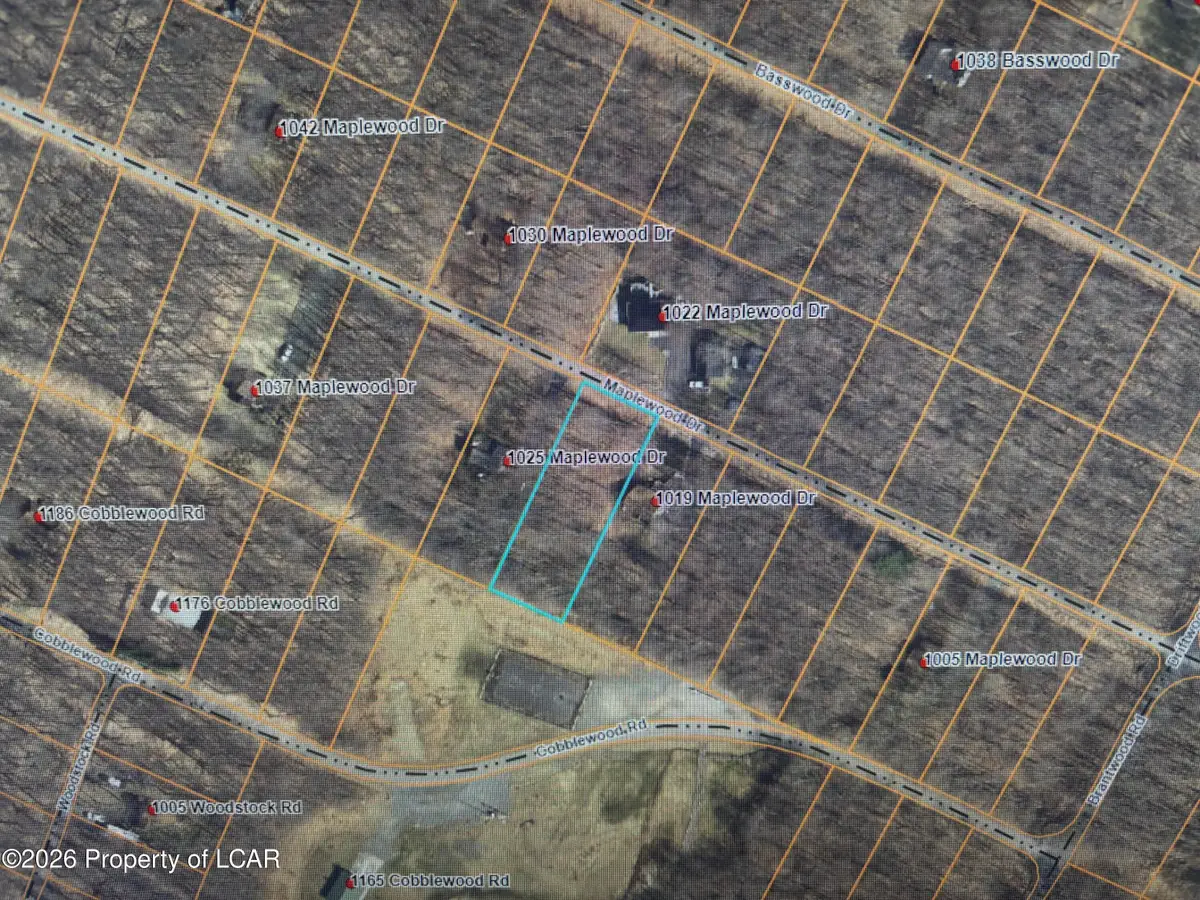 16 Maplewood Drive, Newfoundland, PA 18445 - #1