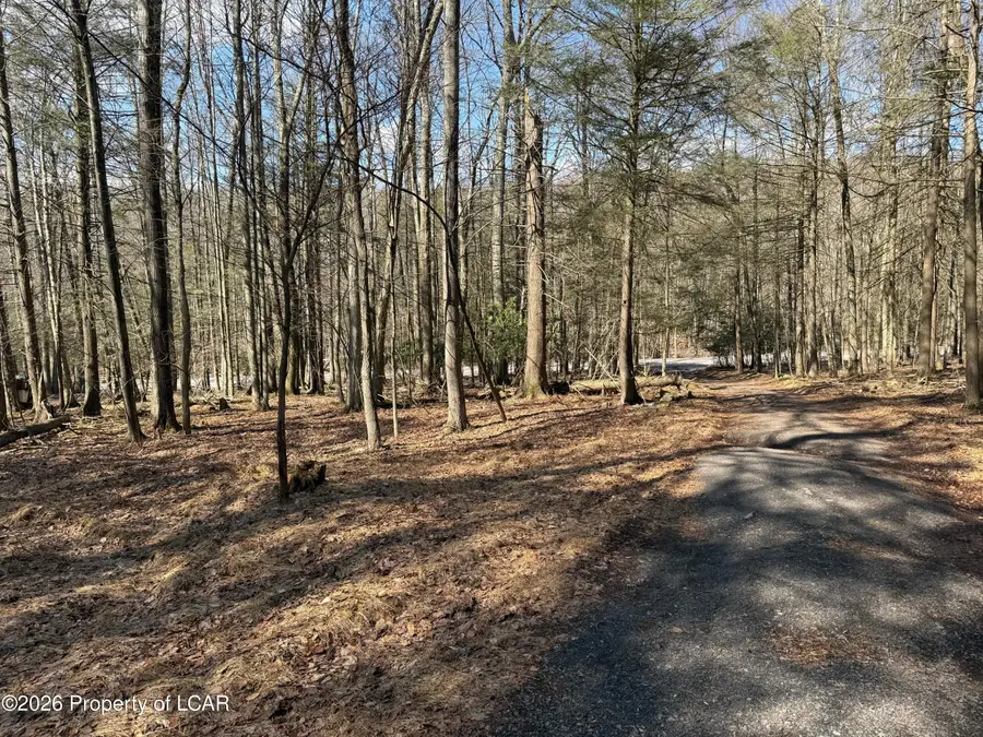 229 2nd Street, Harveys Lake, PA 18618 - #3