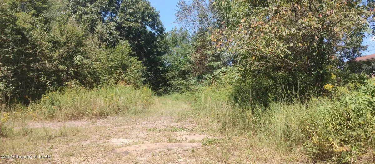 Enterprise Street, Nanticoke, PA 18634 - #1