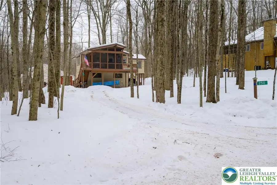 250 White Pine Drive, Pocono Lake, PA 18071 - #2