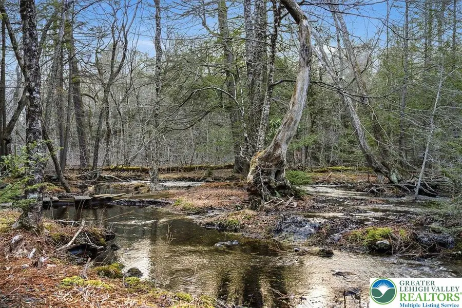 369 Sidney Avenue, Pocono Summit, PA 18346 - #3