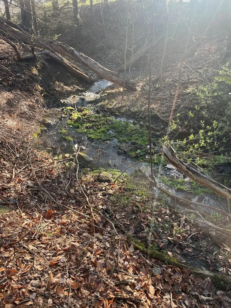 0 Cumming Road, Tioga, PA 16946 - Image #1