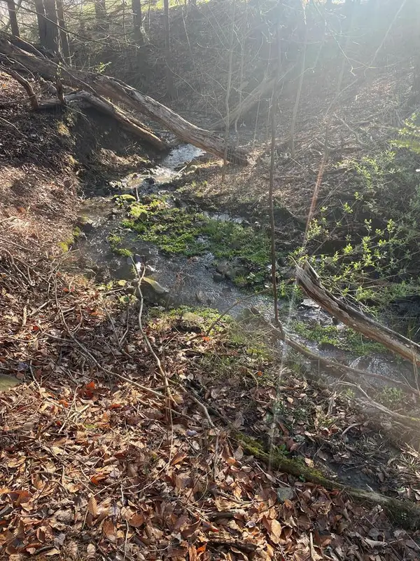 0 Cumming Road, Tioga, PA 16946