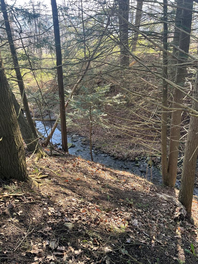 0 Cumming Road, Tioga, PA 16946 - Image #2