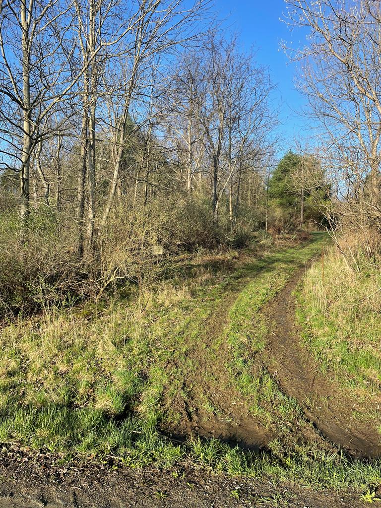 0 Cumming Road, Tioga, PA 16946 - Image #3