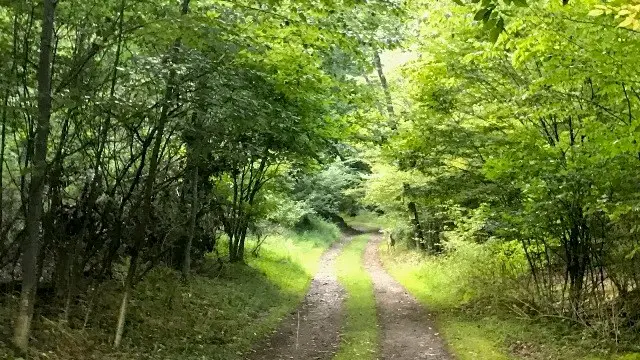 #3