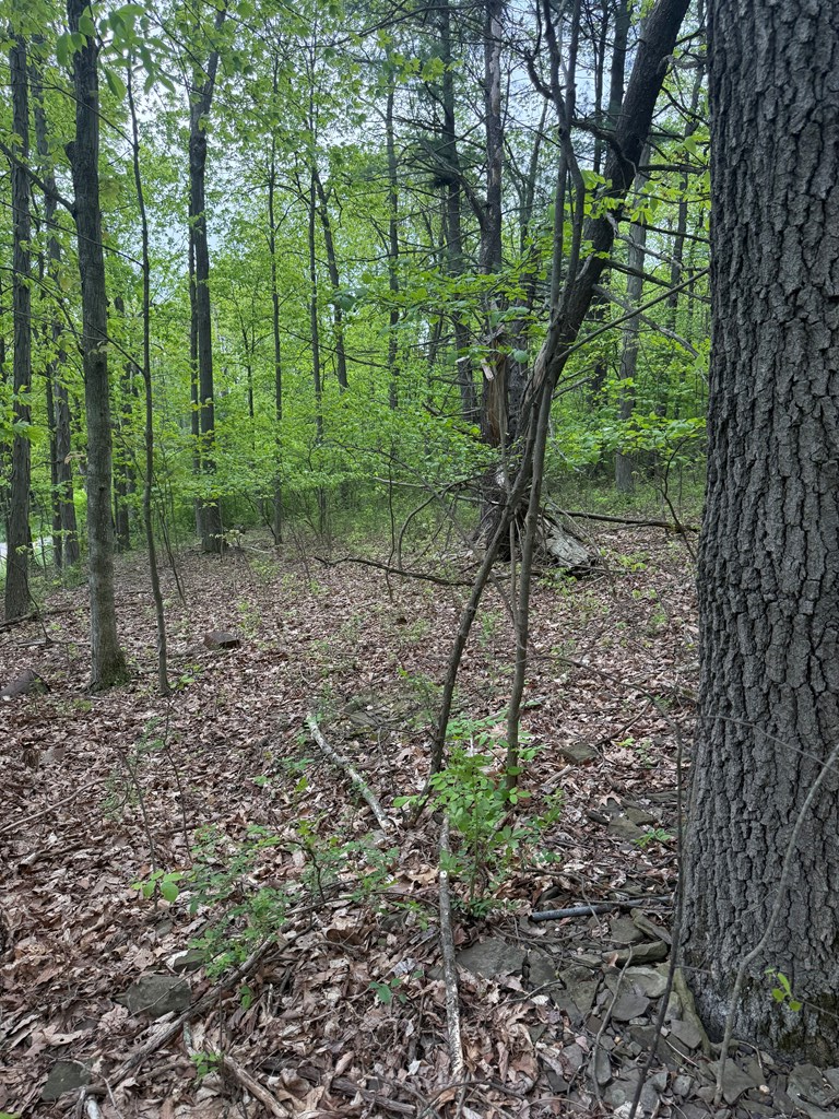 #3
