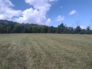 #3