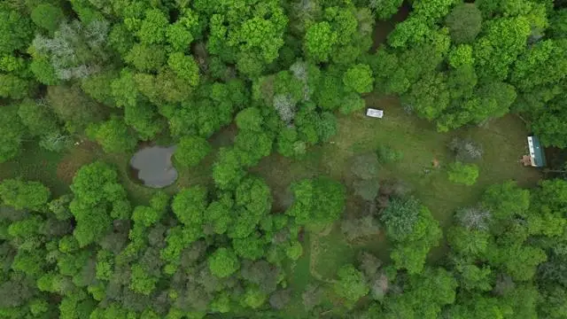 2564 Moore Hill Road, Emporium, PA 15834 - #1