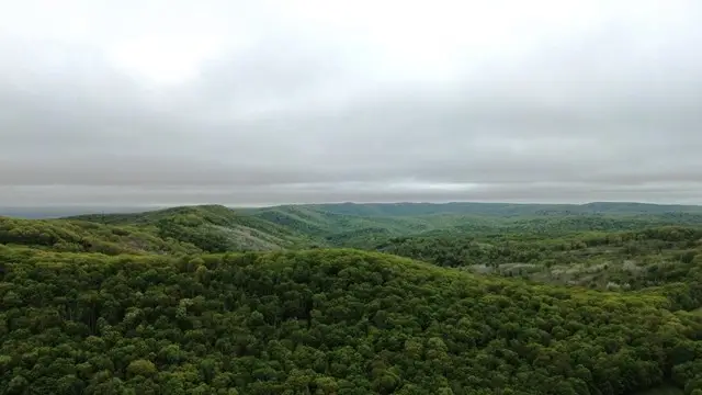 2564 Moore Hill Road, Emporium, PA 15834 - #3