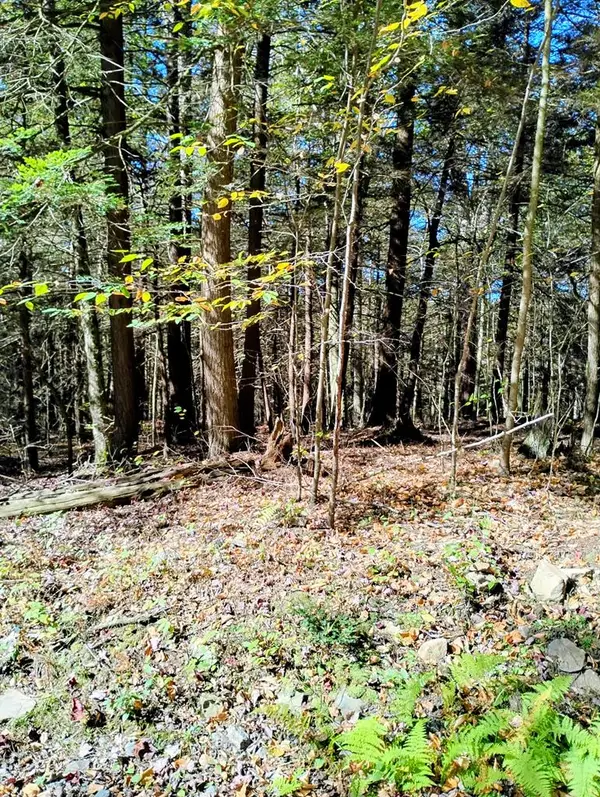 Lot 24 Cavanaugh Road, Dushore, PA 18614