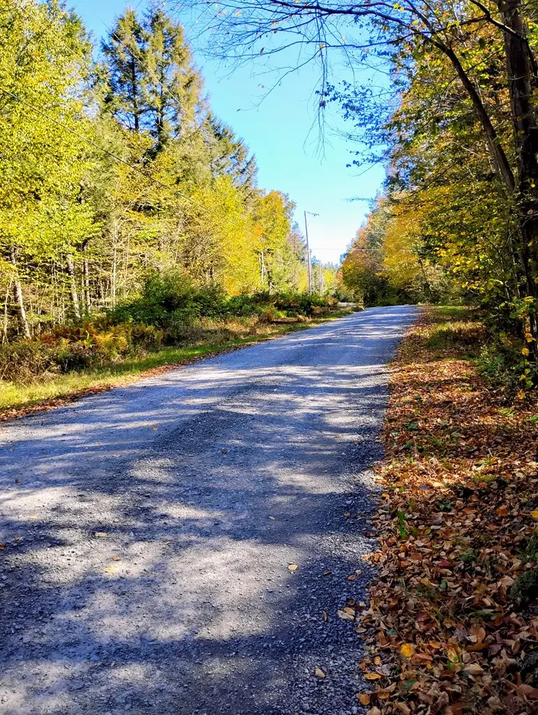 Lot 24 Cavanaugh Road, Dushore, PA 18614 - Image #2