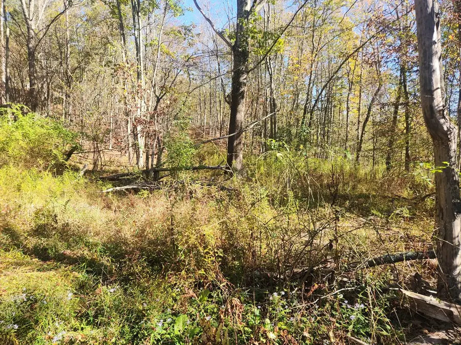 2200 Overton Road, New Albany, PA 18833 - Image #2