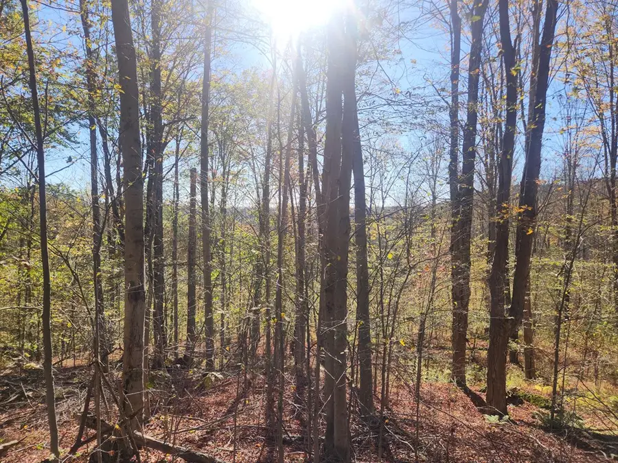 2200 Overton Road, New Albany, PA 18833 - Image #3