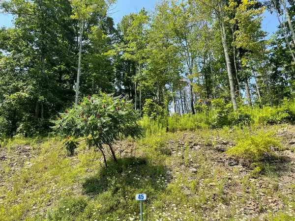 Lot 45A Hemlock Hills Rd, Towanda, PA 18848