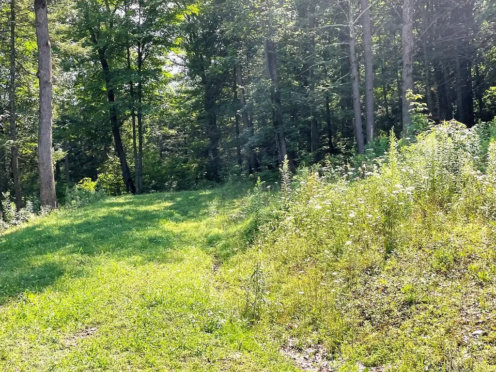 Lot 35A Hemlock Hills Rd, Towanda, PA 18848 - Image #1
