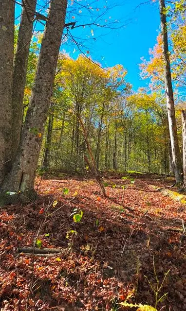 00 Aspen Valley Drive, Austin, PA 16720