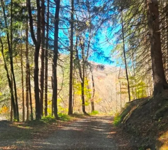 00 Aspen Valley Drive, Austin, PA 16720 - Image #2