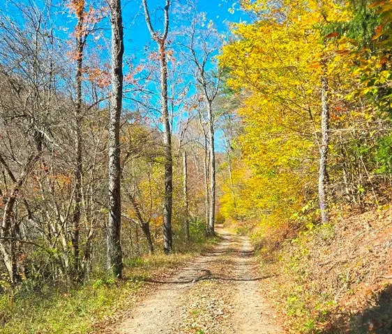 00 Aspen Valley Drive, Austin, PA 16720 - Image #3