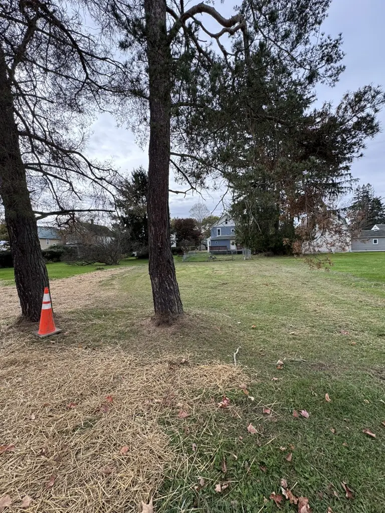 146 Palmer Street, Shinglehouse, PA 16748 - #3