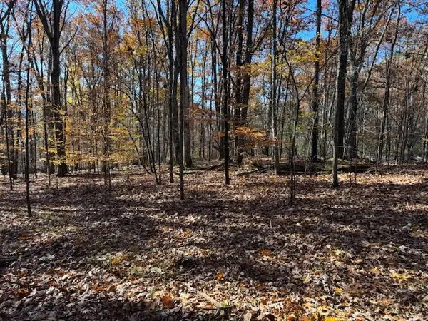 0 Leisure Lakes Rd, Stevensville, PA 18846