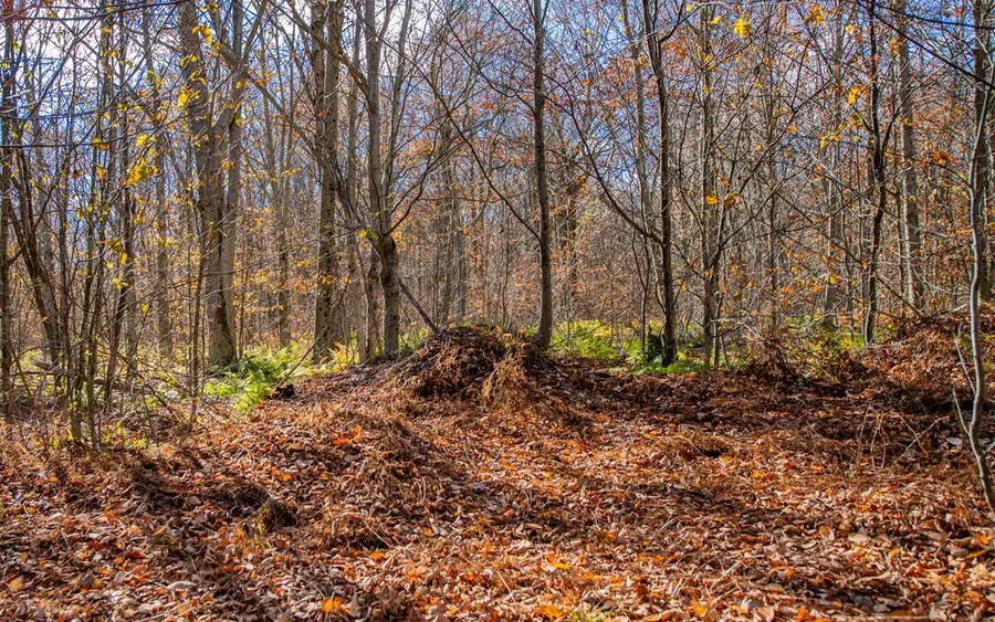 Parc 030 Glory Ridge Rd, Shunk, PA 17768 - Image #3