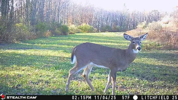 0 Hill Road, Sayre, PA 18840