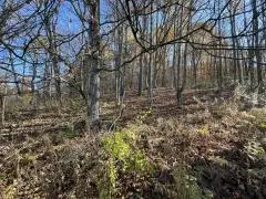 2999 State Route 607, Austin, PA 16720