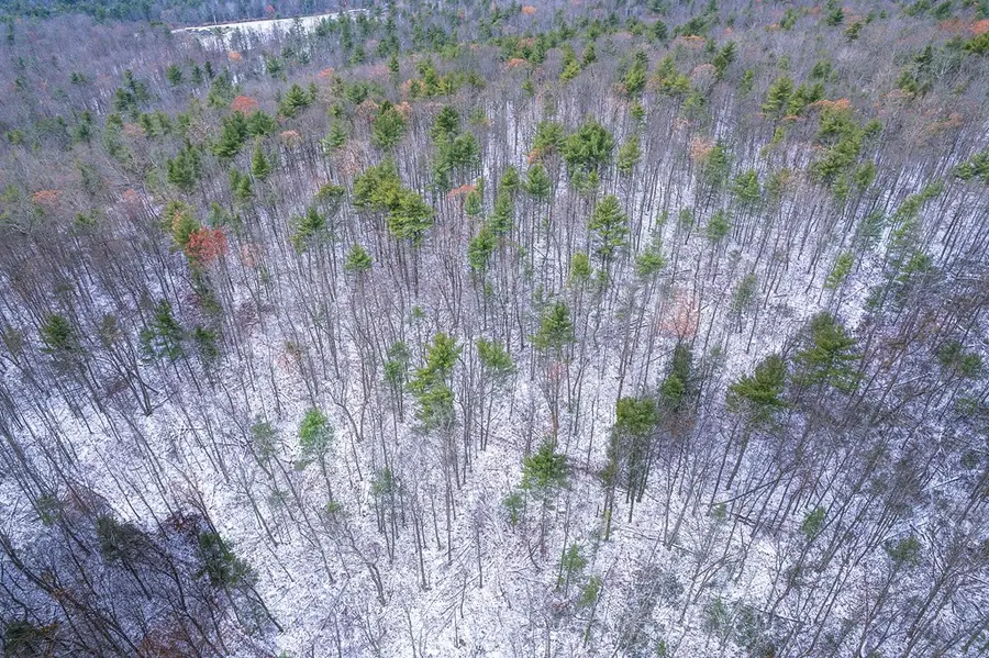 0 Birch Hill Road, Lawrenceville, PA 16929 - Image #3