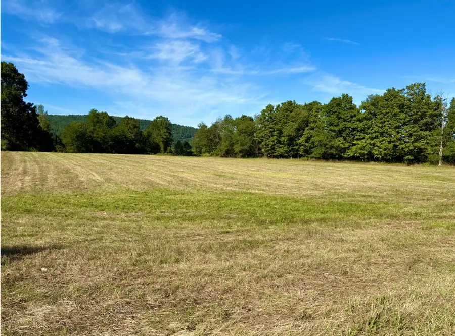 0 Bear Creek Road, Tioga, PA 16946 - Image #2