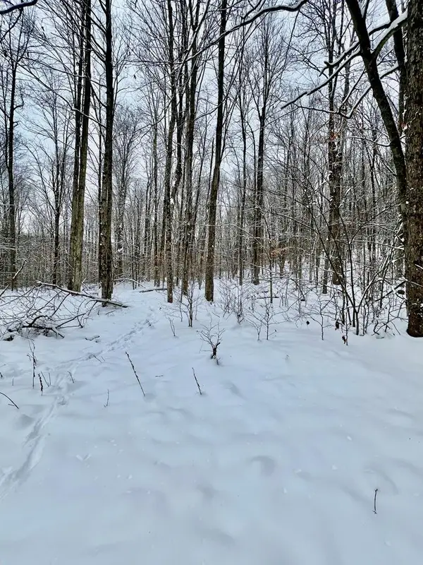 00 Brizzee Hollow, Genesee, PA 16923