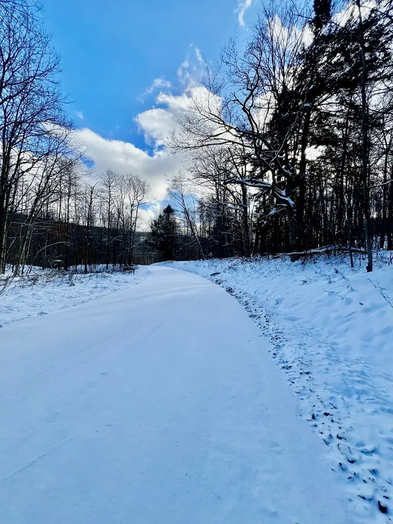 00 Brizzee Hollow, Genesee, PA 16923 - Image #2