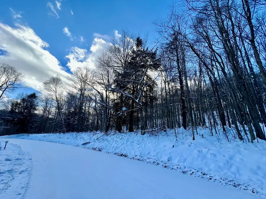 00 Brizzee Hollow, Genesee, PA 16923 - Image #3